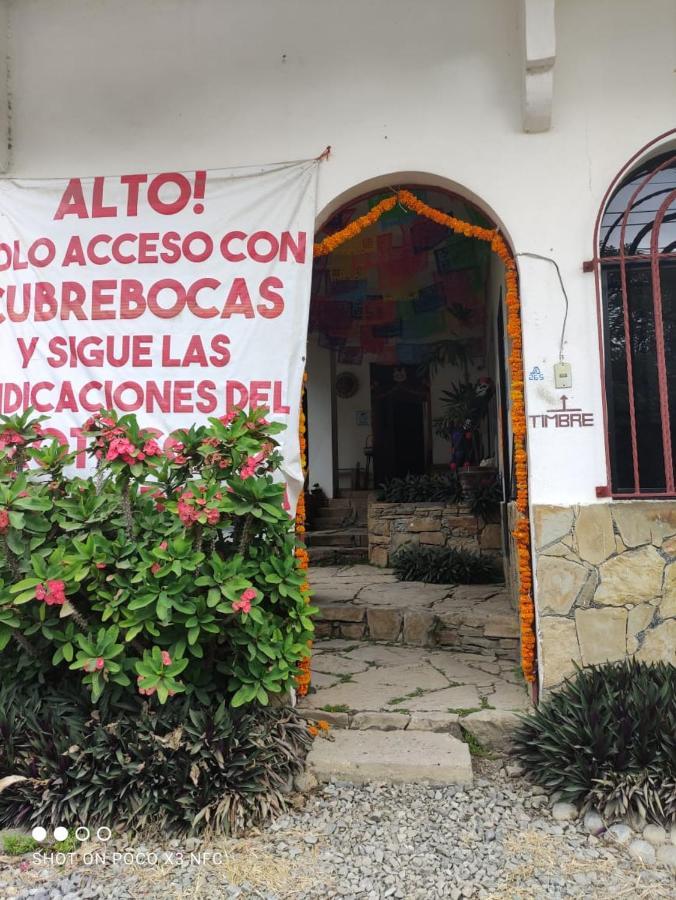 Hotel Raiz De Sierra Matlapa Exterior foto
